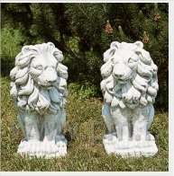 animale leone