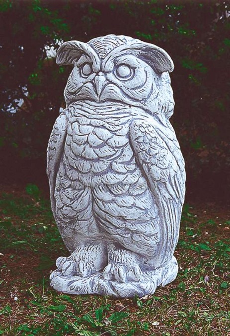 aquila