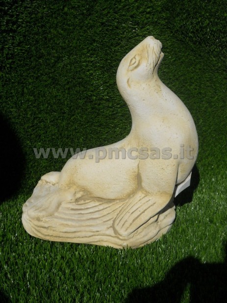 foca