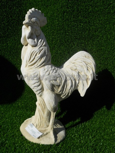 gallo